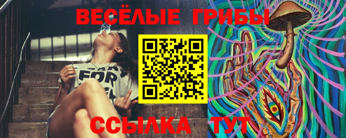 Псилоцибиновые грибы мицелий Бердск